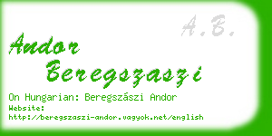 andor beregszaszi business card